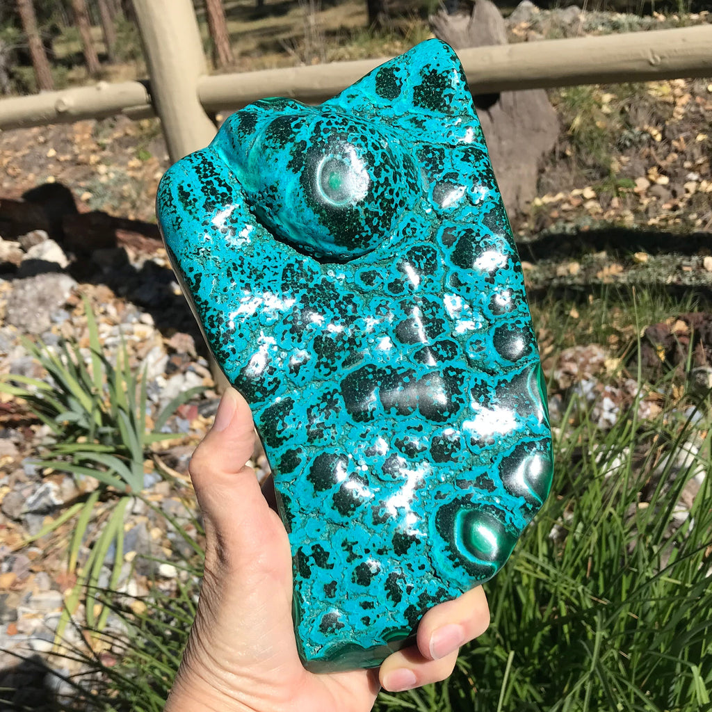 Polished Malachite/Chrysocolla Plate