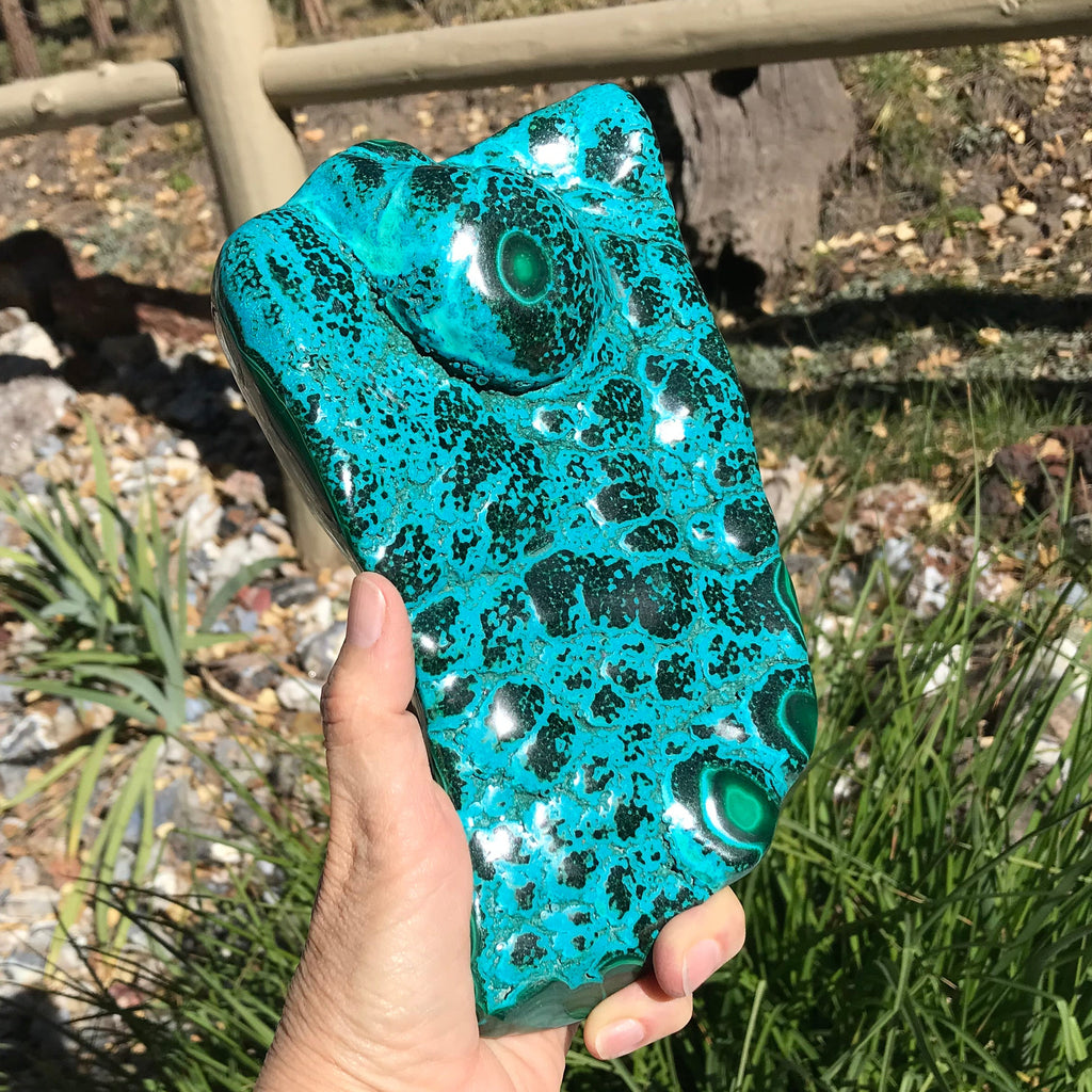 Polished Malachite/Chrysocolla Plate