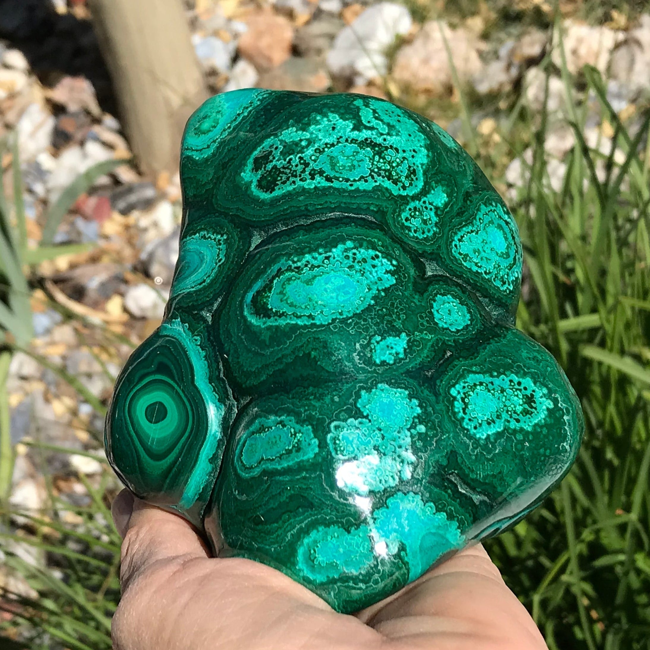 Bands of Turquoise and Green Malachite/Chrysocolla Nodule Bands of Turquoise and Green Malachite/Chrysocolla Nodule