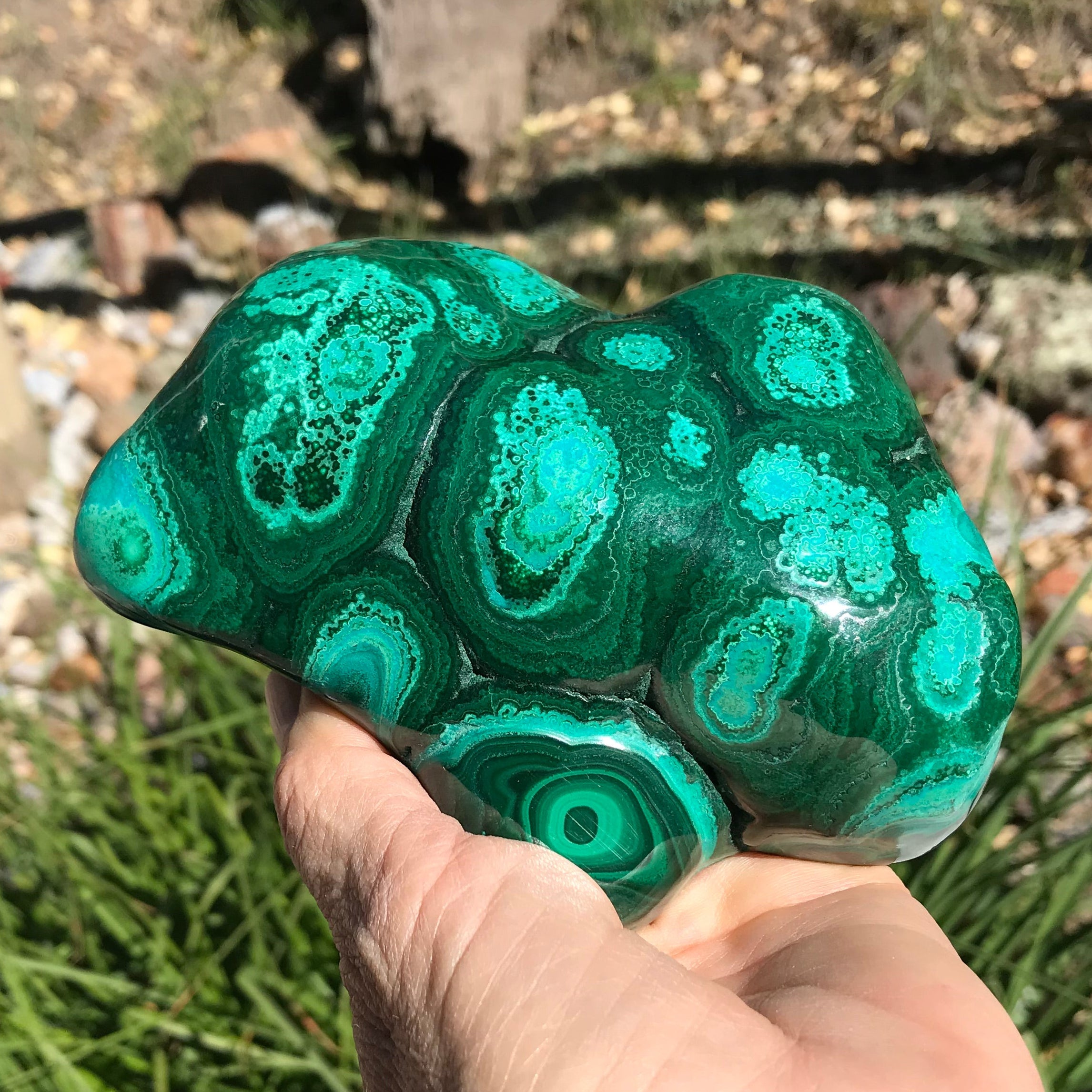 Bands of Turquoise and Green Malachite/Chrysocolla Nodule