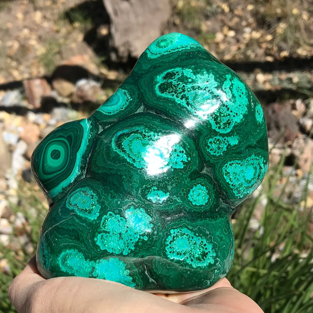 Bands of Turquoise and Green Malachite/Chrysocolla Nodule