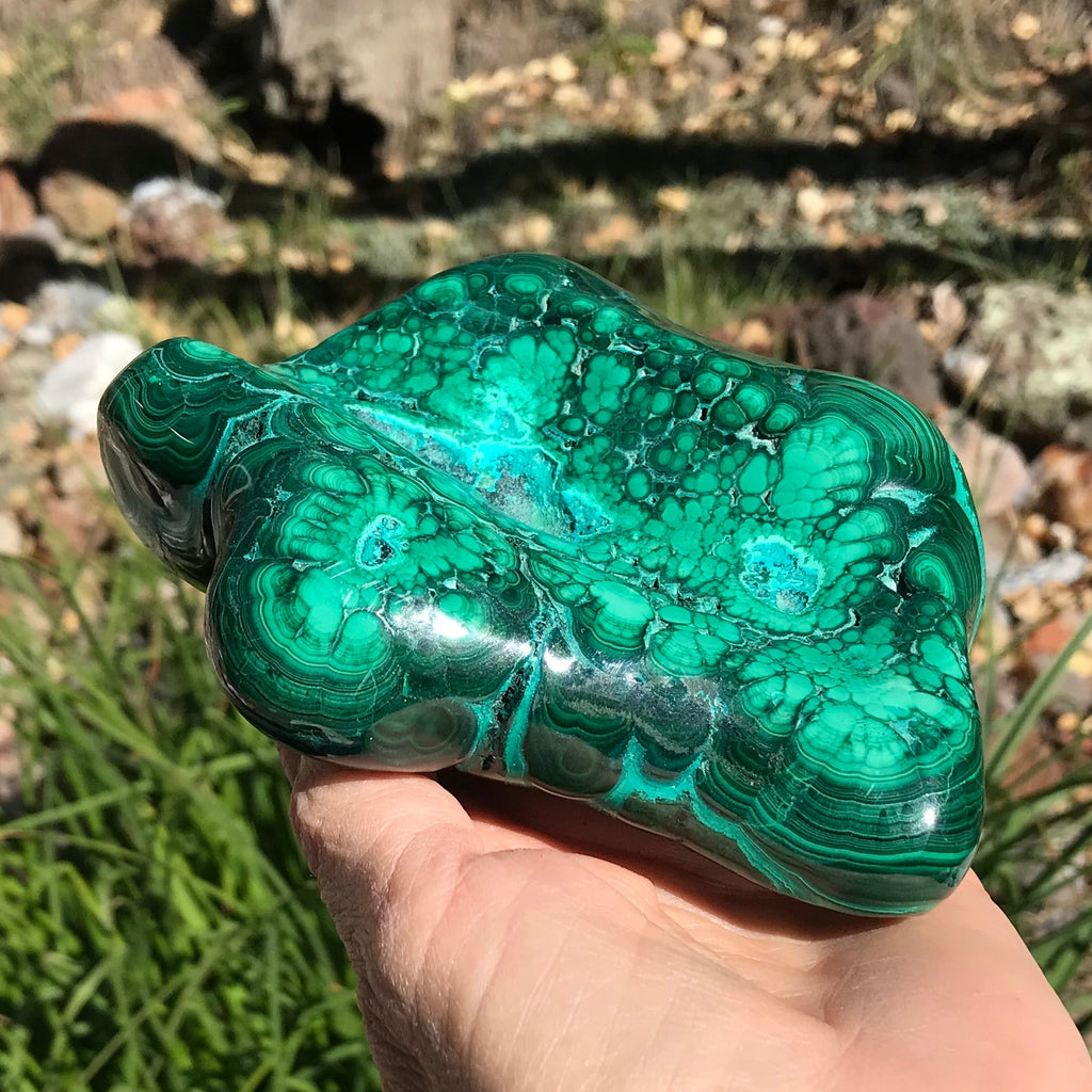 Bands of Turquoise and Green Malachite/Chrysocolla Nodule