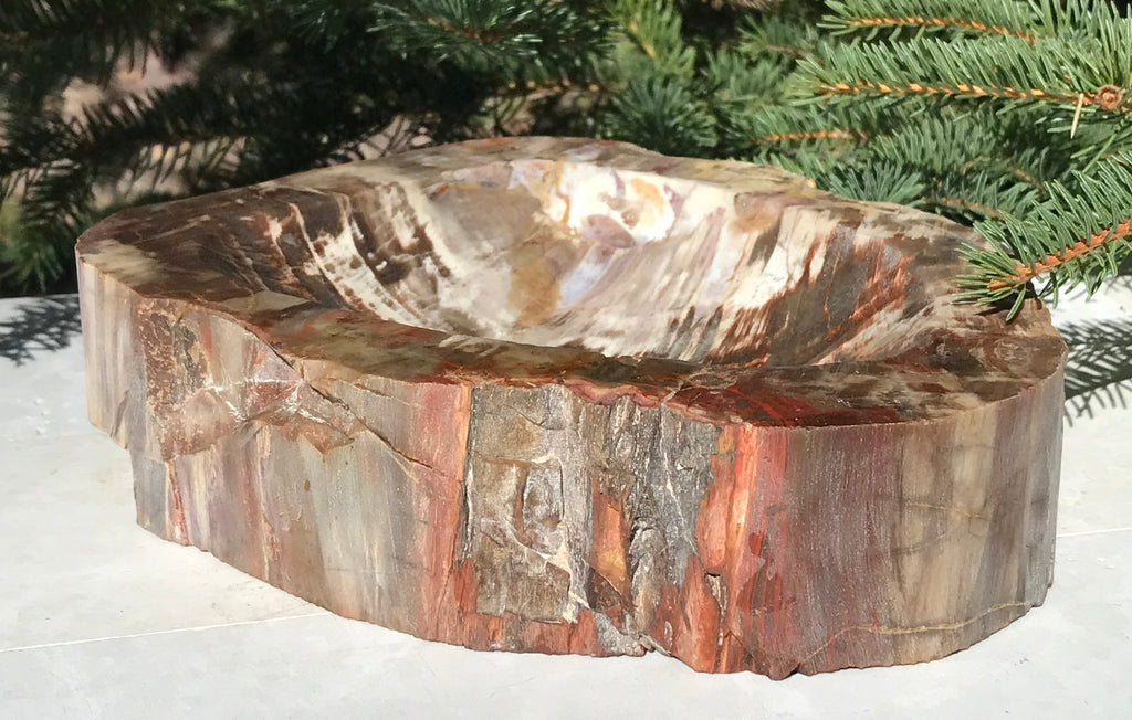 Boldly Patterned Petrified Wood Bowl
