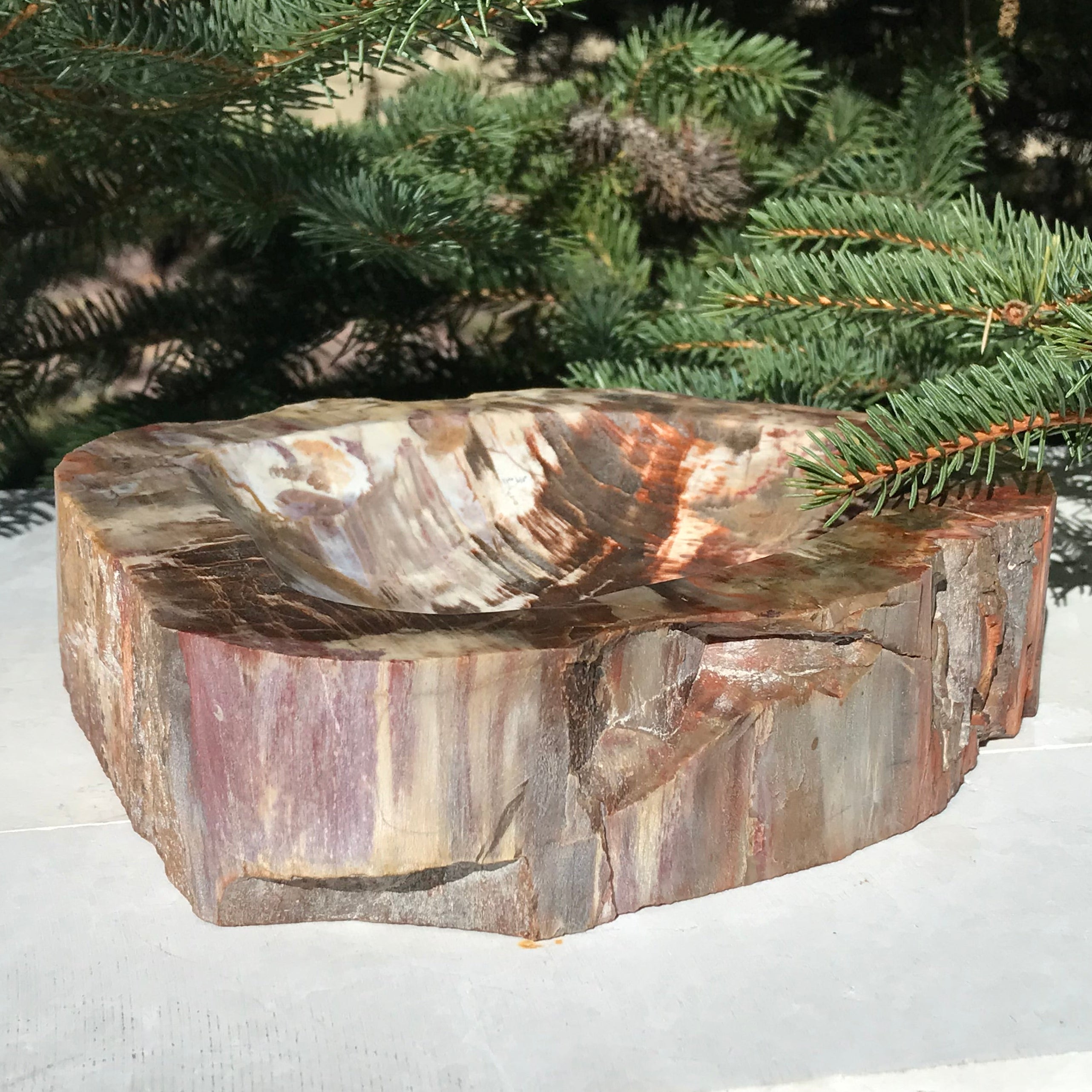 Boldly Patterned Petrified Wood Bowl