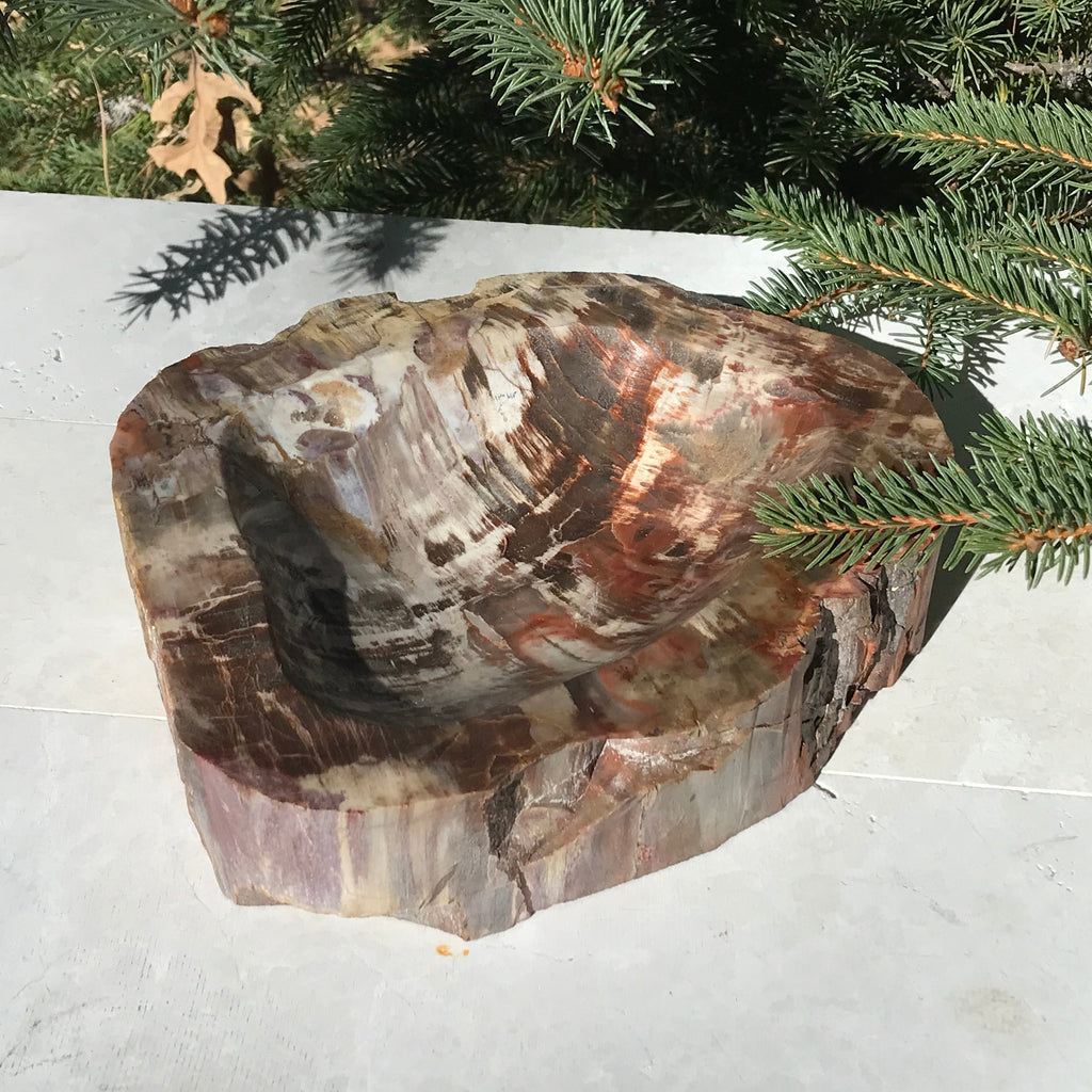 Boldly Patterned Petrified Wood Bowl