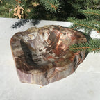 Boldly Patterned Petrified Wood Bowl