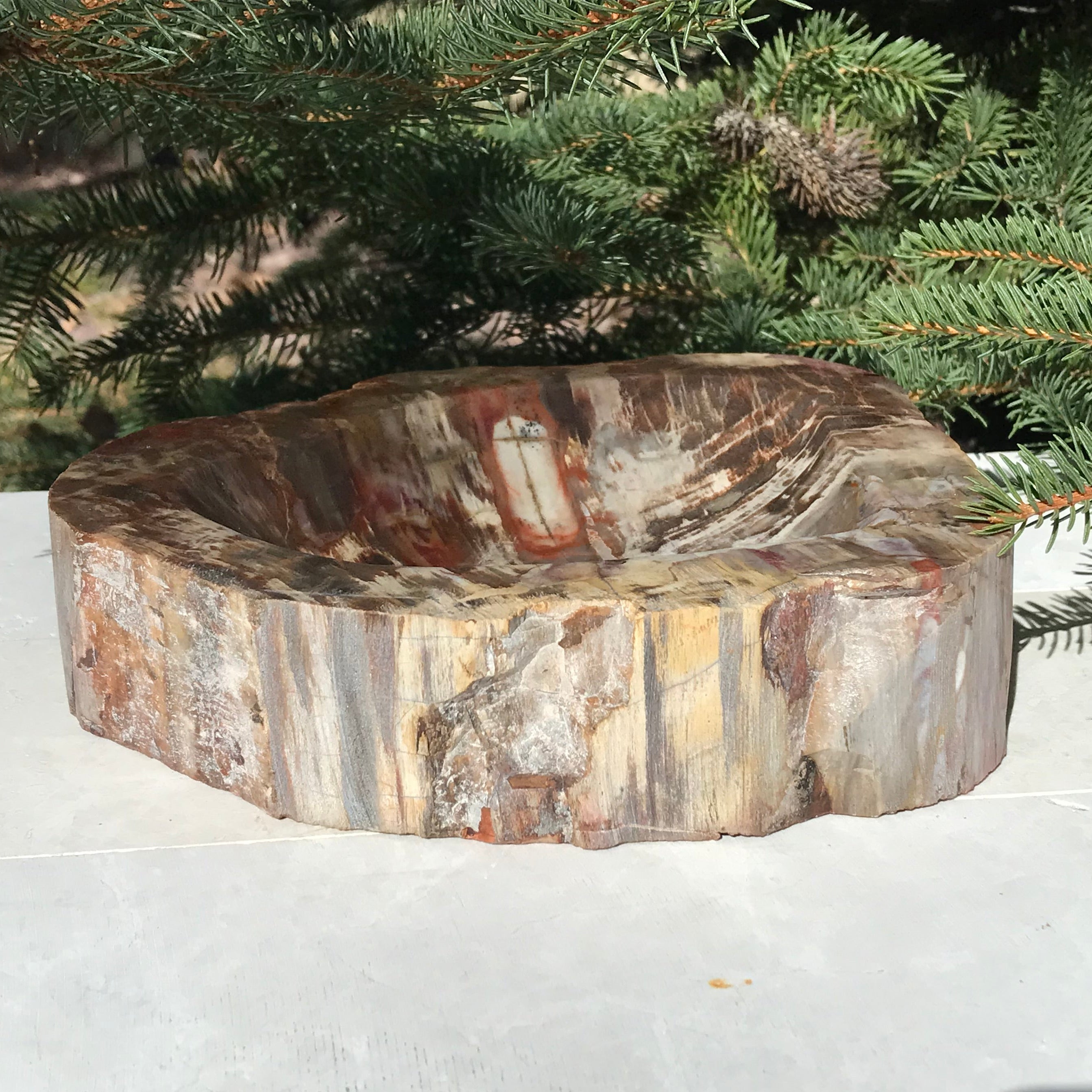 Boldly Patterned Petrified Wood Bowl
