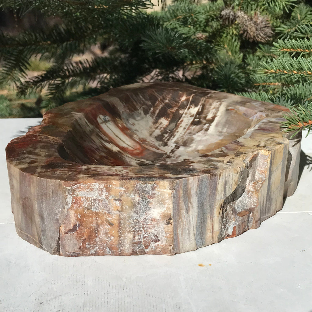 Boldly Patterned Petrified Wood Bowl