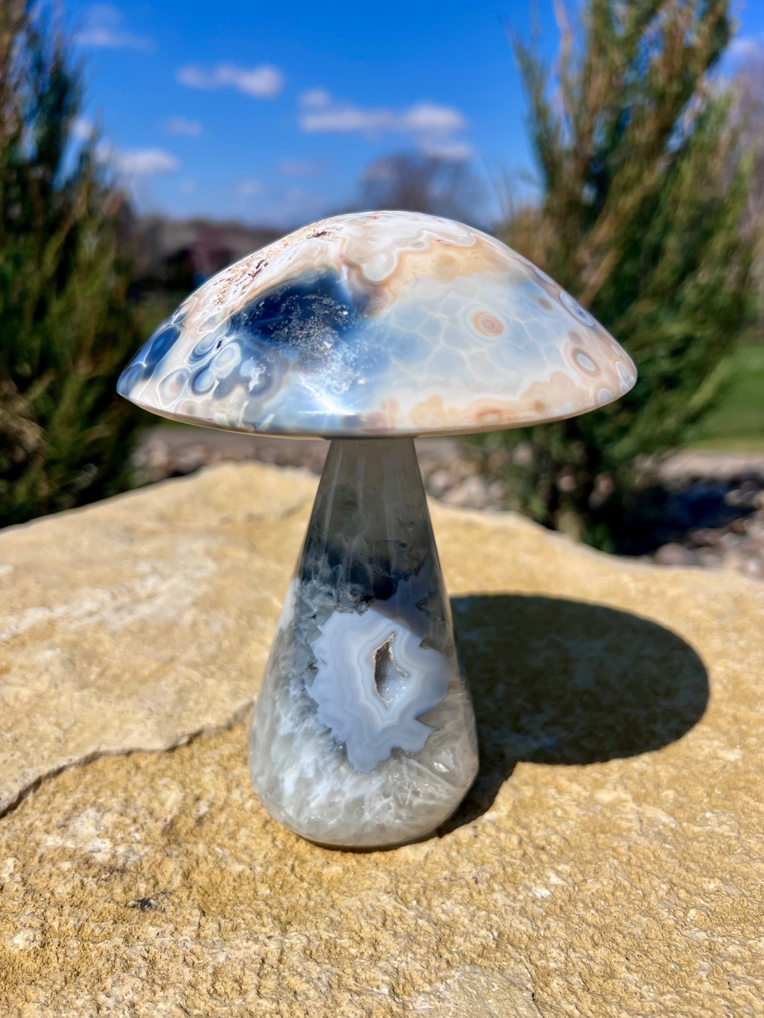Mushroom Agate