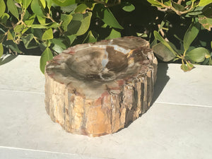 Bark Edged Petrified Wood Bowl