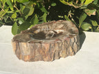 Bark Edged Petrified Wood Bowl
