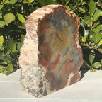 Prismatic Rainbow Petrified Wood Slab.