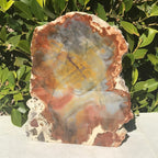 Prismatic Rainbow Petrified Wood Slab.