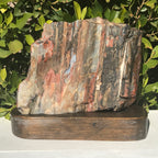 Bold Banded Arizona Rainbow Petrified Wood Slab