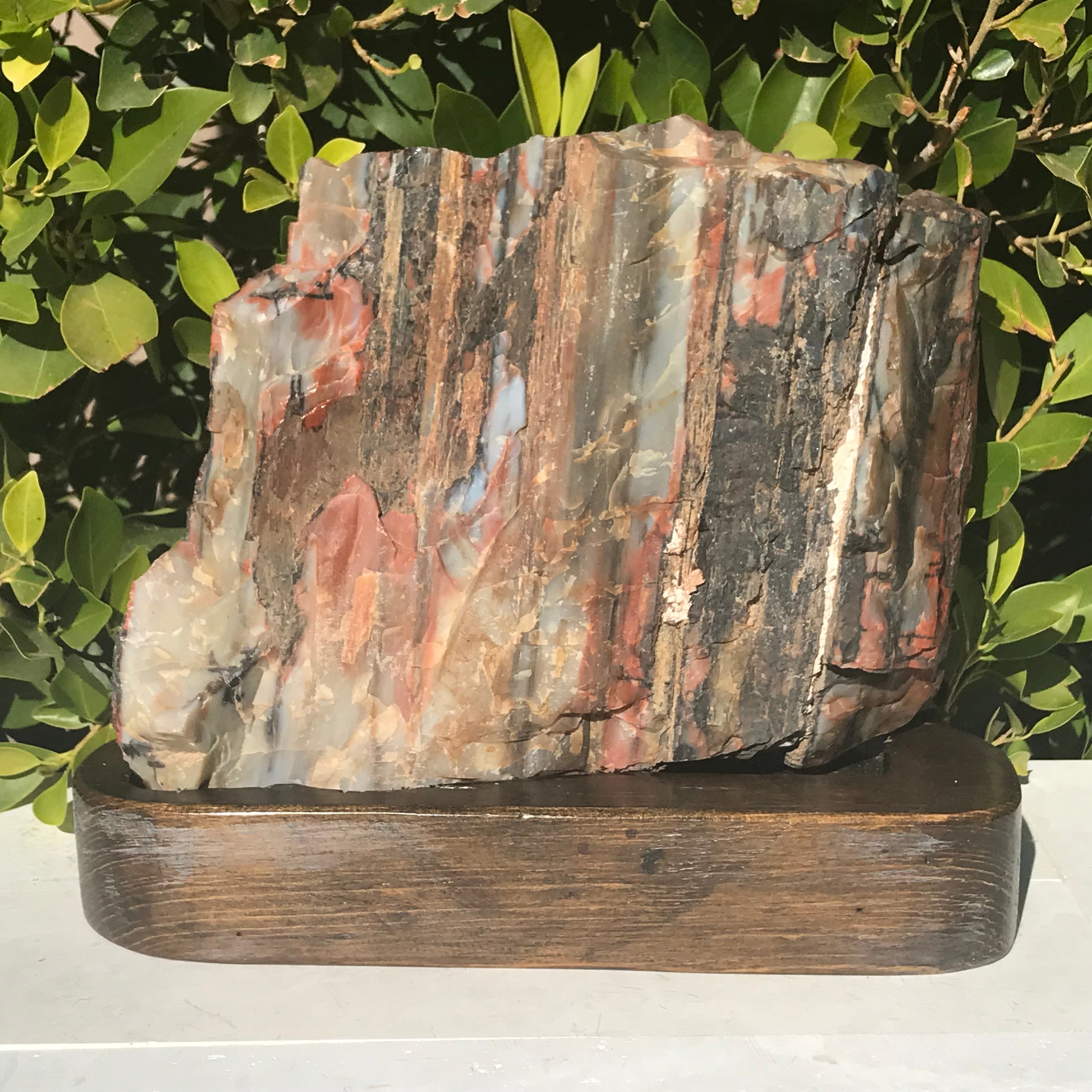 Bold Banded Arizona Rainbow Petrified Wood Slab