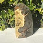 Tower of Septarian