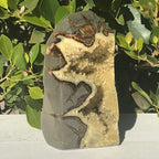 Tower of Septarian
