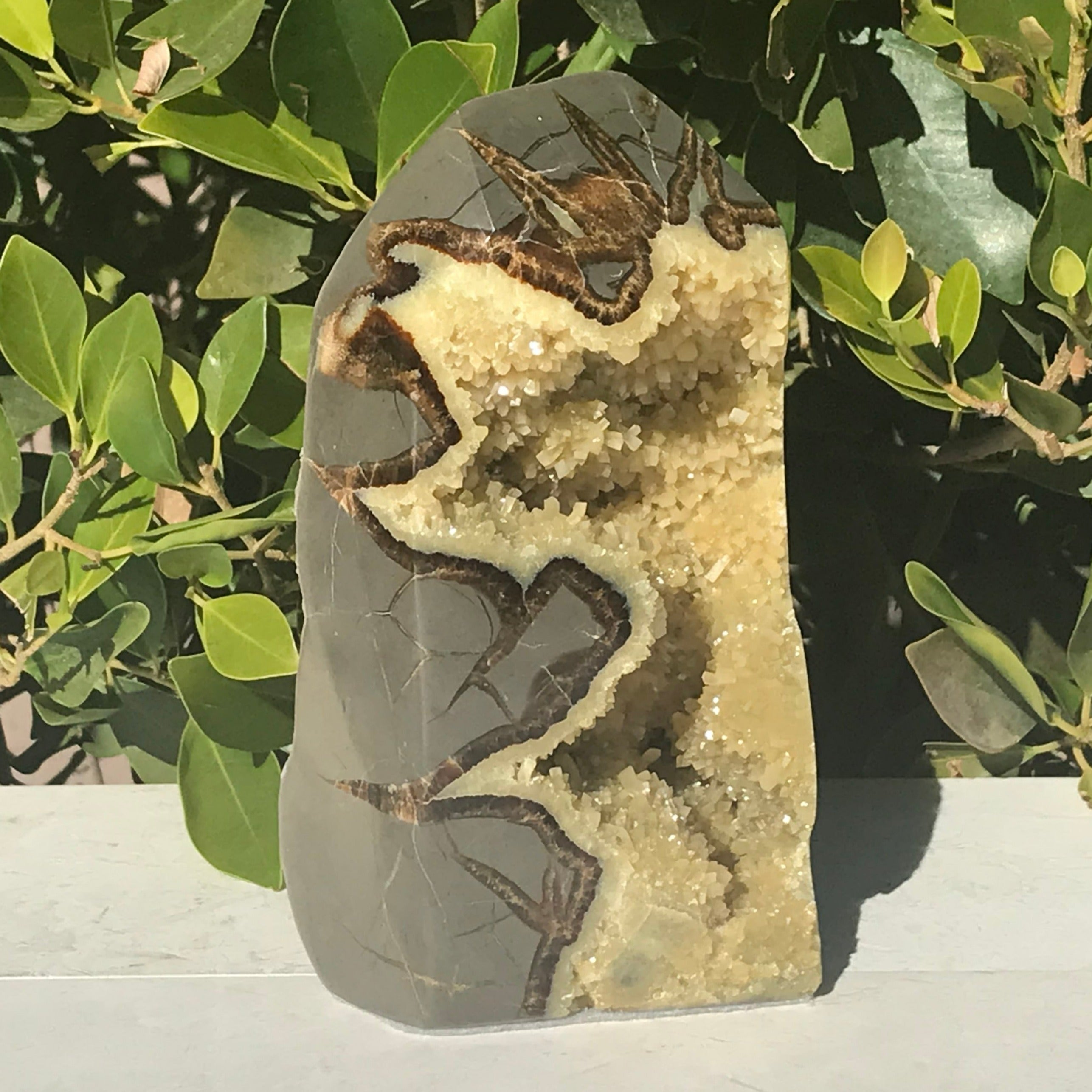 Tower of Septarian