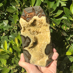 Tower of Septarian