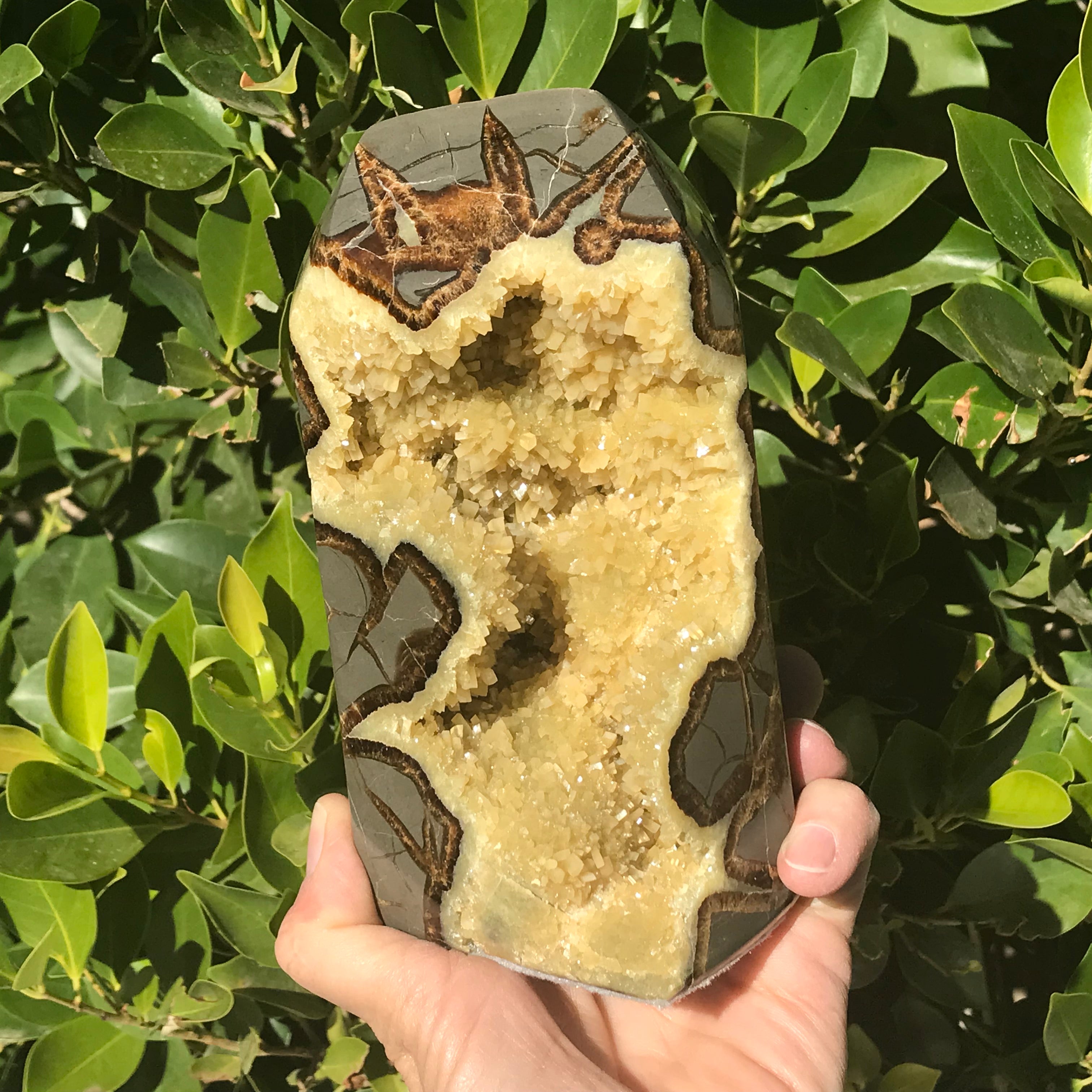 Tower of Septarian