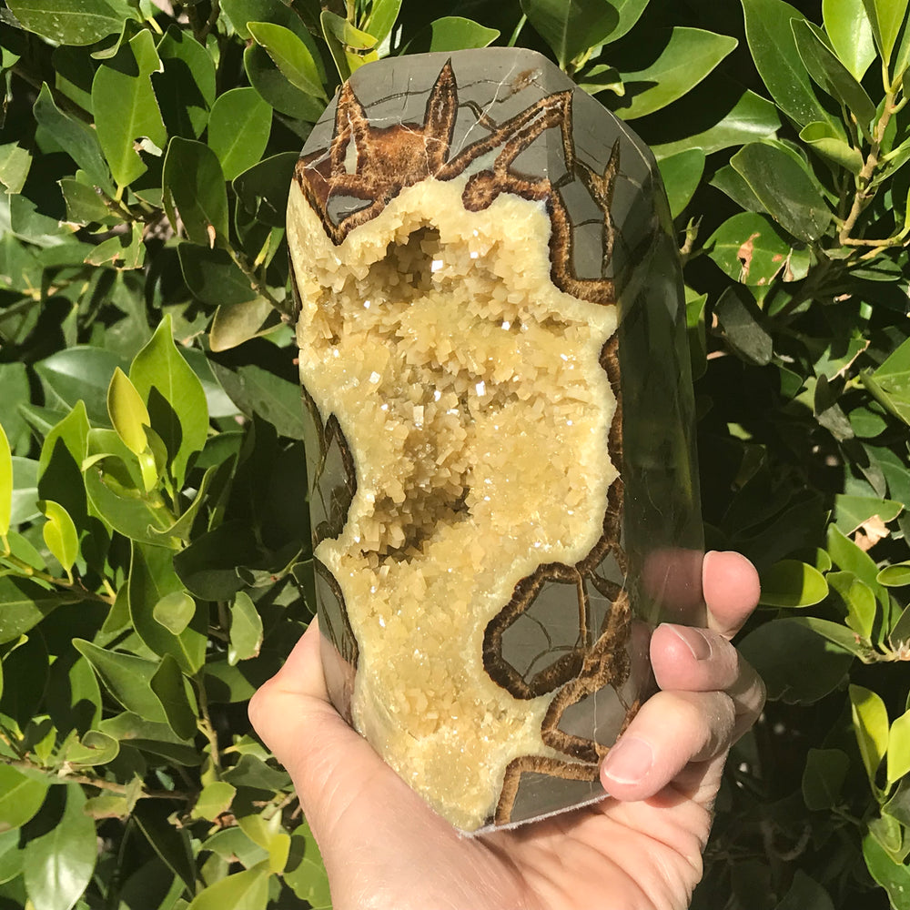 Tower of Septarian