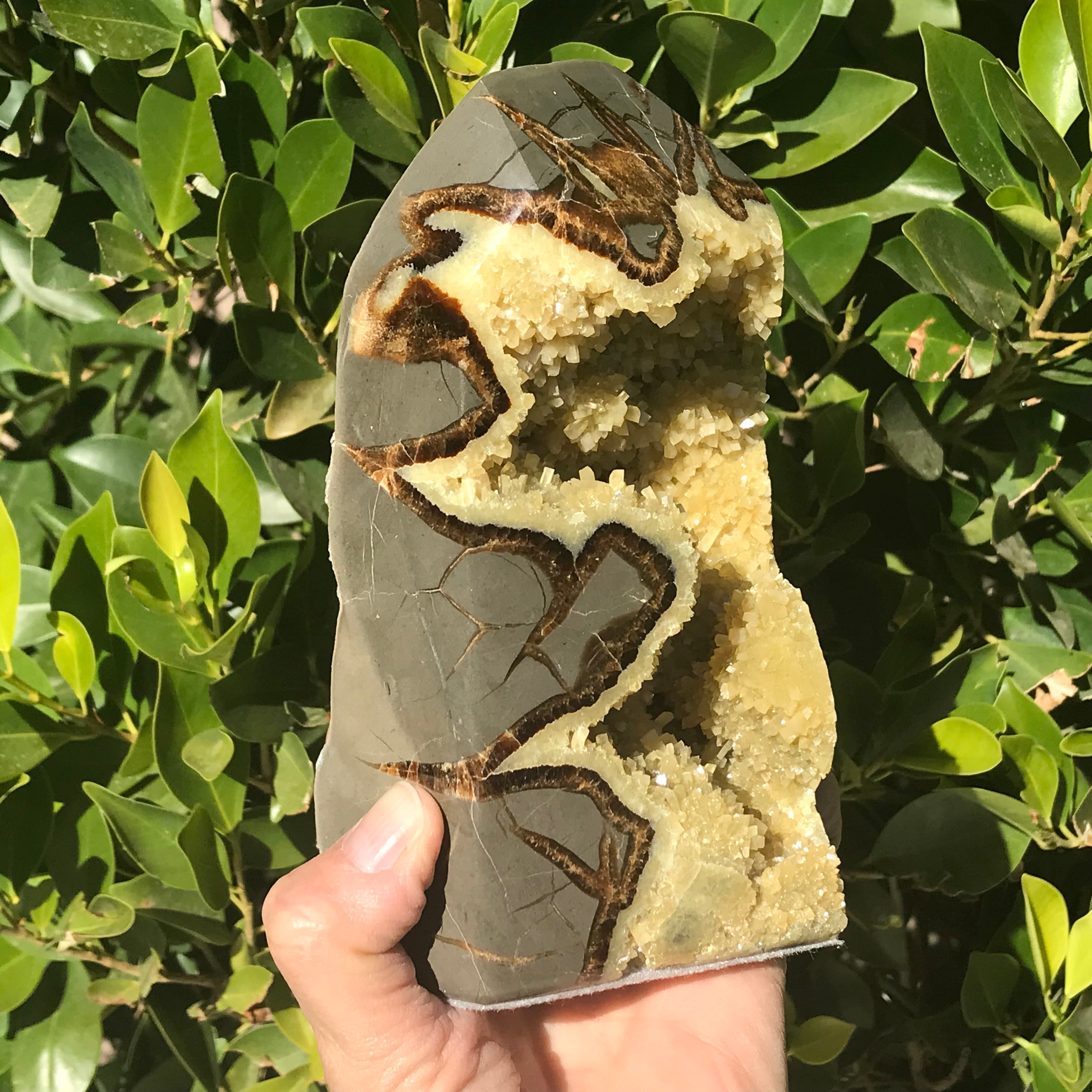 Tower of Septarian