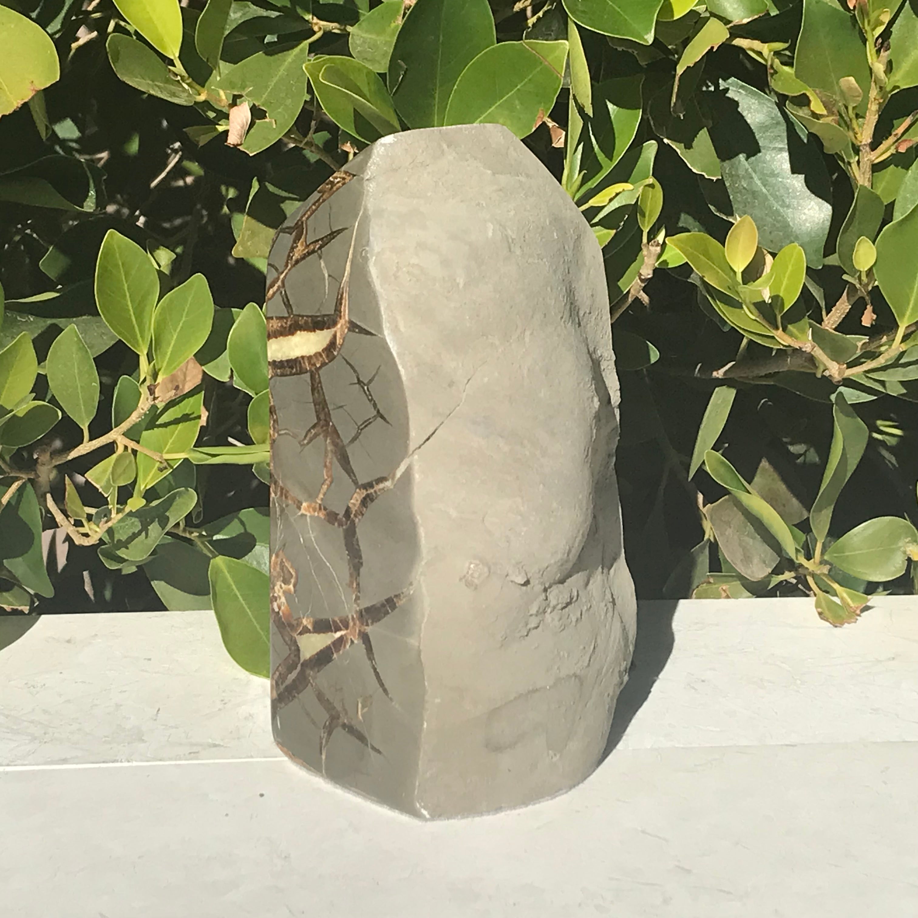 Tower of Septarian