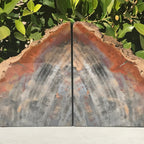 Pronounced Tree Rings Rainbow Petrified Wood Bookends