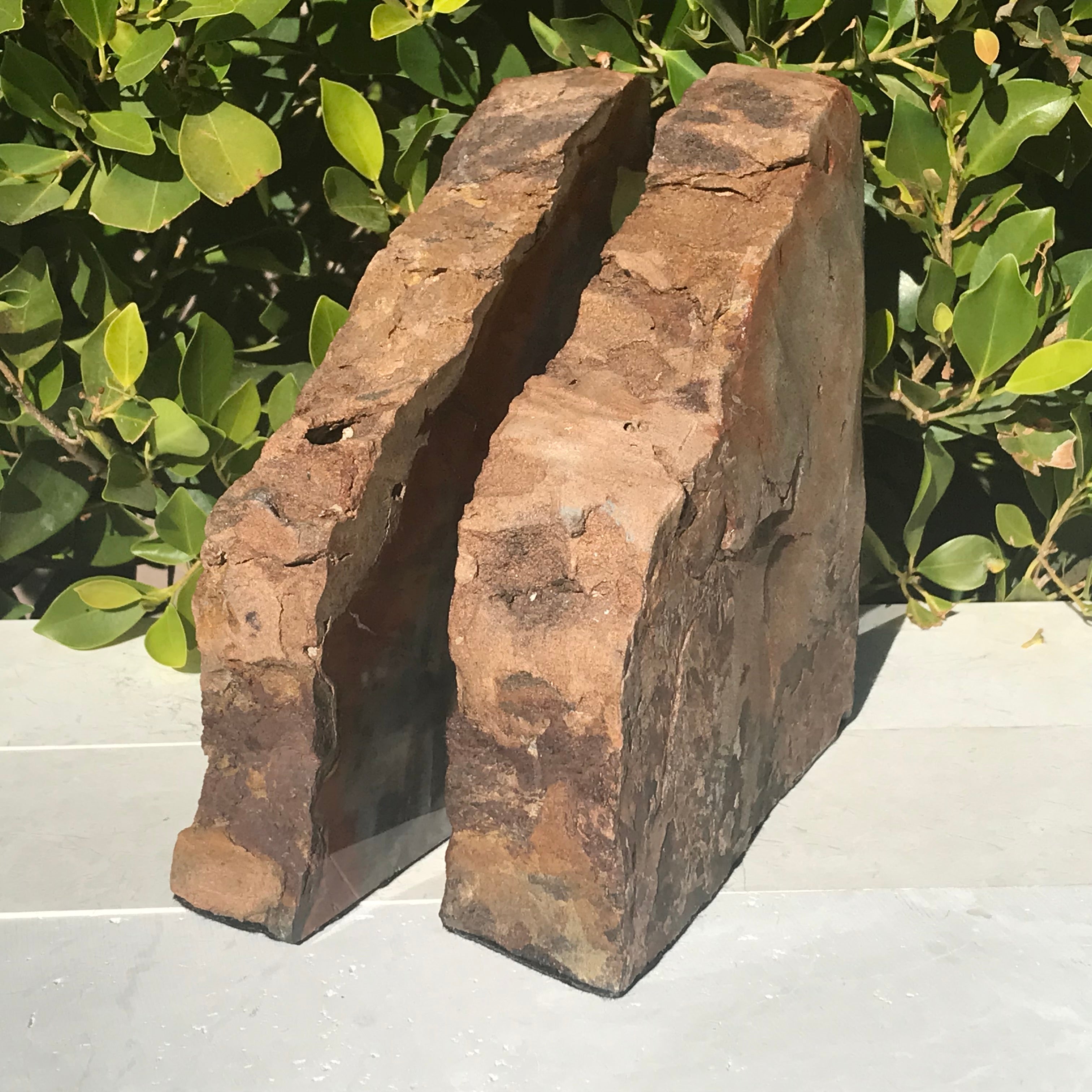 Pronounced Tree Rings Rainbow Petrified Wood Bookends