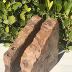 Pronounced Tree Rings Rainbow Petrified Wood Bookends
