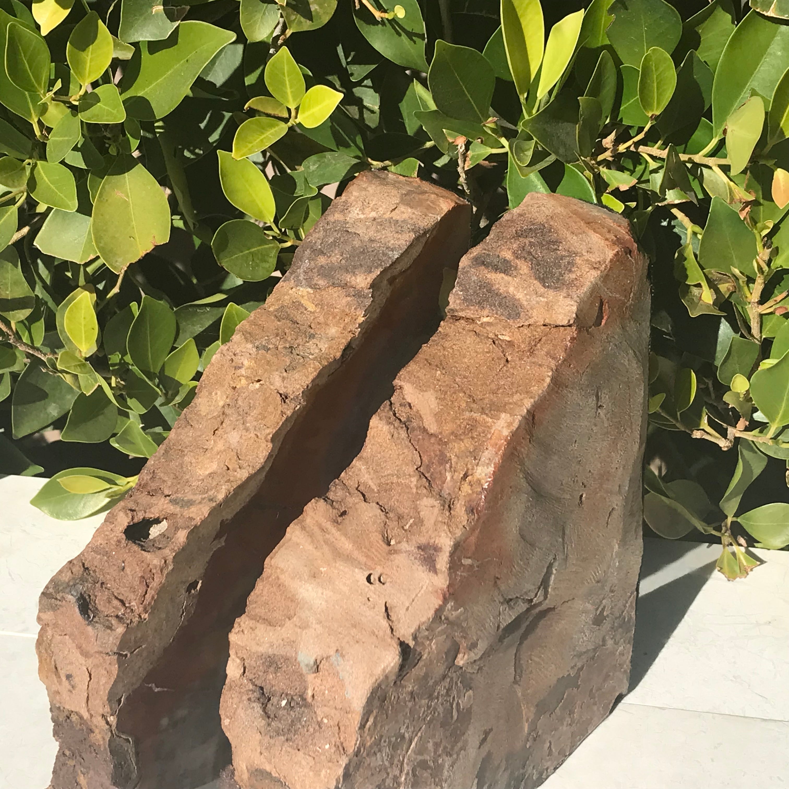 Pronounced Tree Rings Rainbow Petrified Wood Bookends