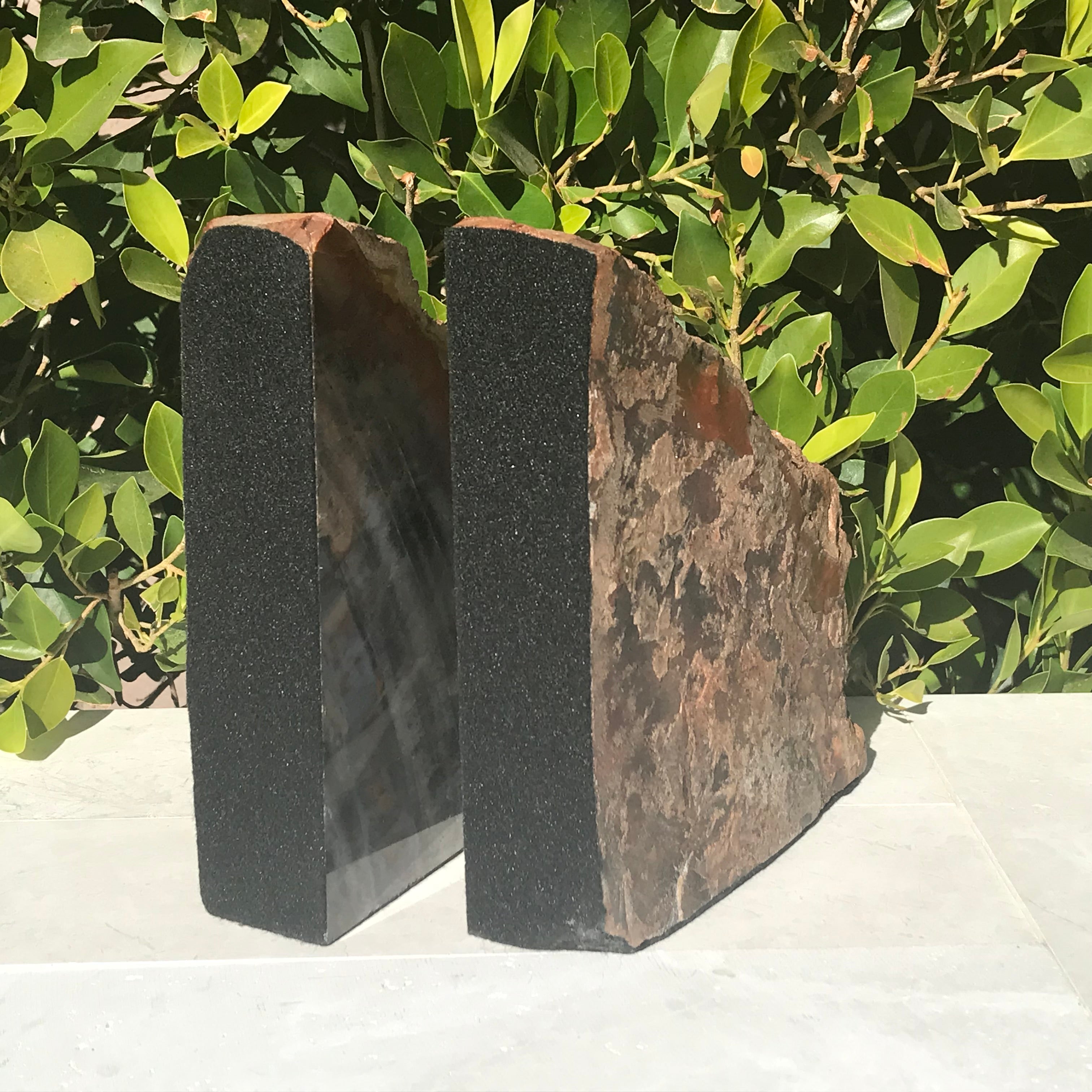 Pronounced Tree Rings Rainbow Petrified Wood Bookends