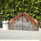 Pronounced Tree Rings Rainbow Petrified Wood Bookends