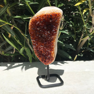 Dark Amber Standing Citrine Freeform