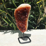 Dark Amber Standing Citrine Freeform