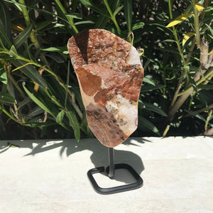 Dark Amber Standing Citrine Freeform