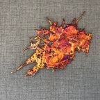 Bold and Bright Rainbow Copper Splash Design