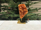 Brilliant Citrine Crystal Freeform
