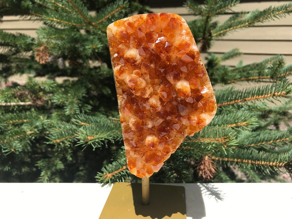 Brilliant Citrine Crystal Freeform