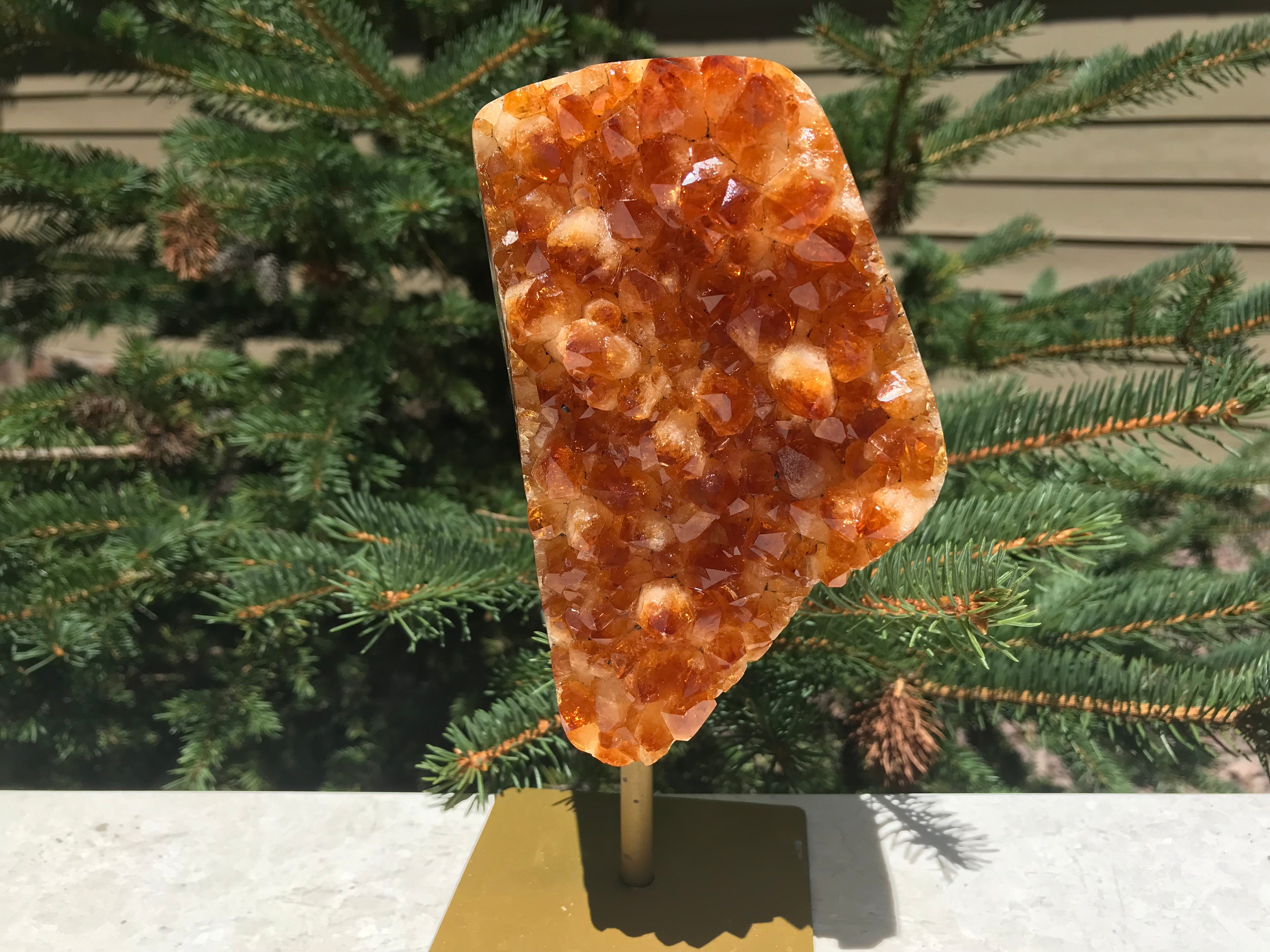 Brilliant Citrine Crystal Freeform