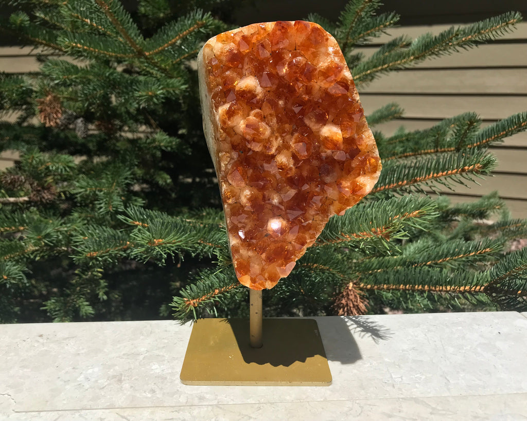Brilliant Citrine Crystal Freeform