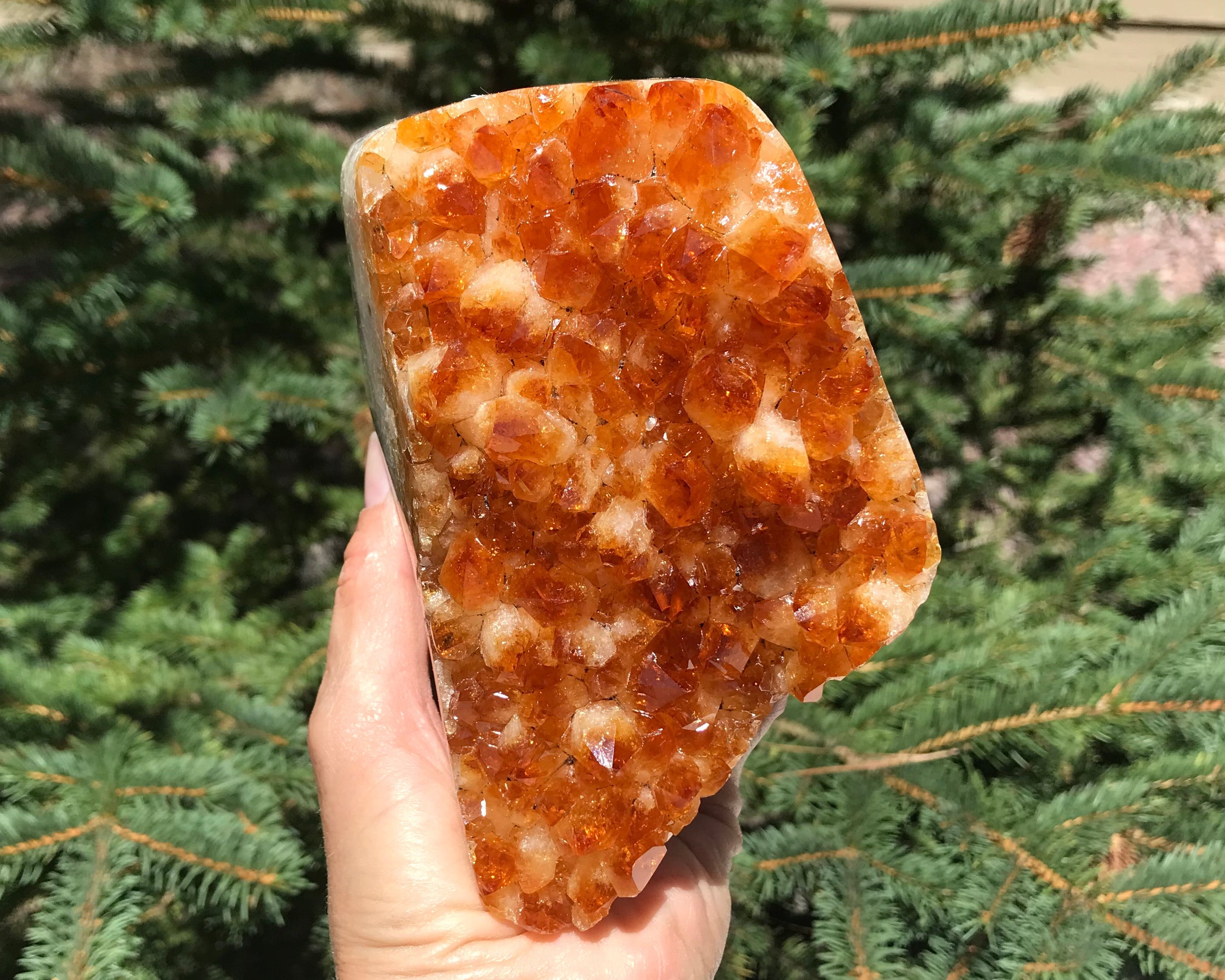 Brilliant Citrine Crystal Freeform