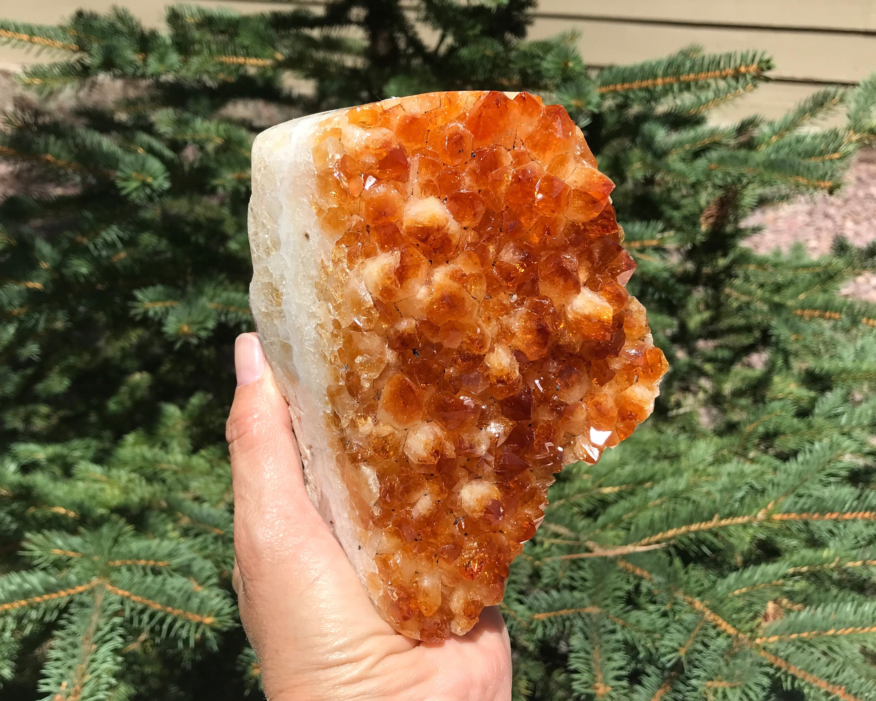 Brilliant Citrine Crystal Freeform