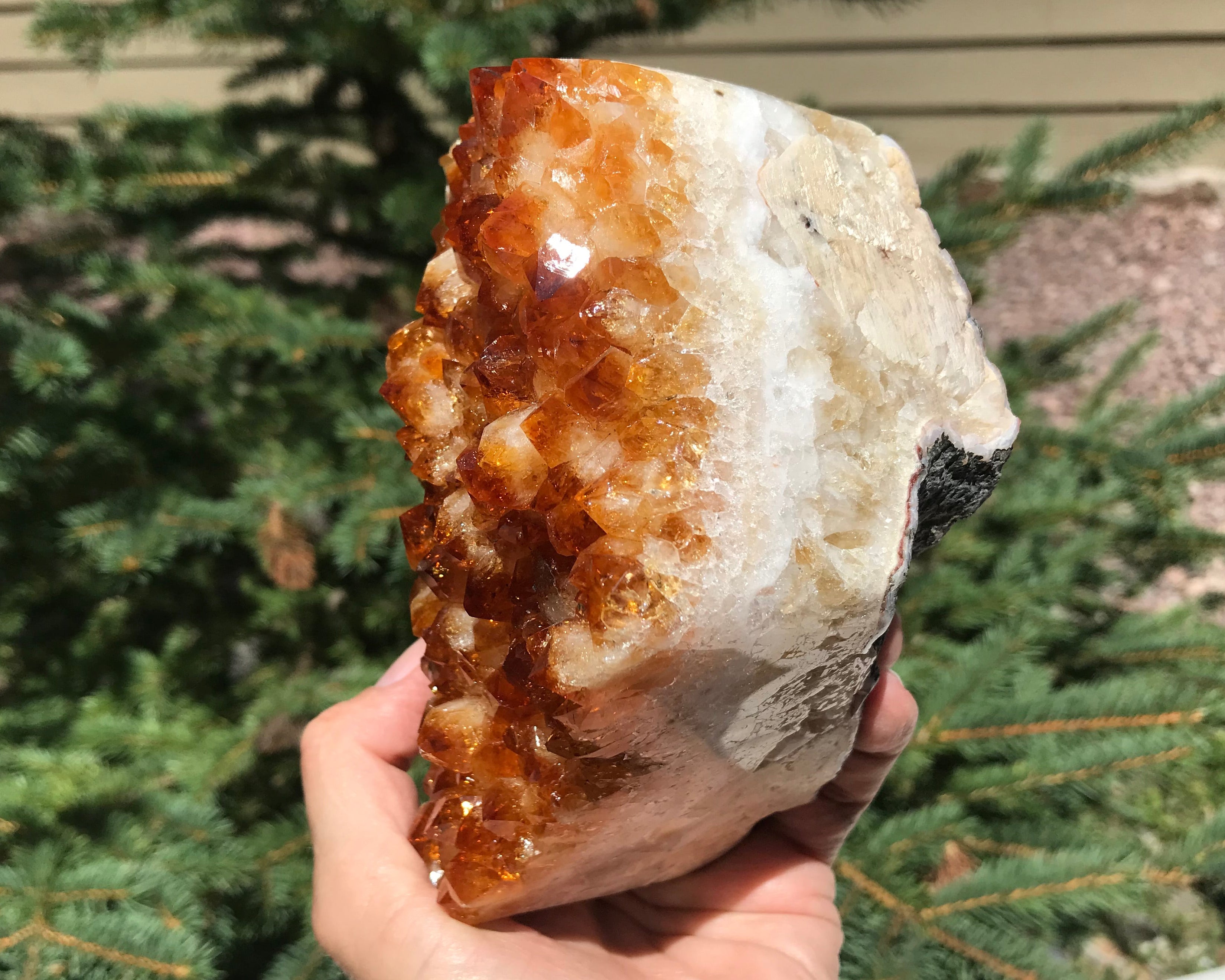 Brilliant Citrine Crystal Freeform