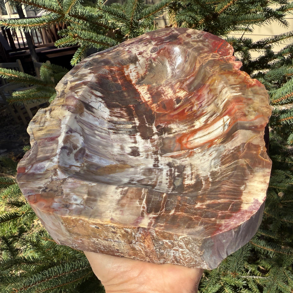 Boldly Patterned Petrified Wood Bowl