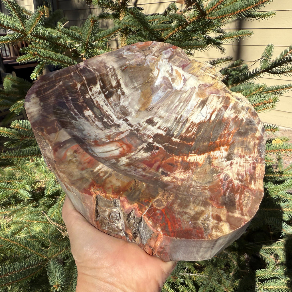 Boldly Patterned Petrified Wood Bowl