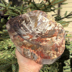 Boldly Patterned Petrified Wood Bowl