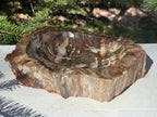 Boldly Striated Petrified Wood Bowl