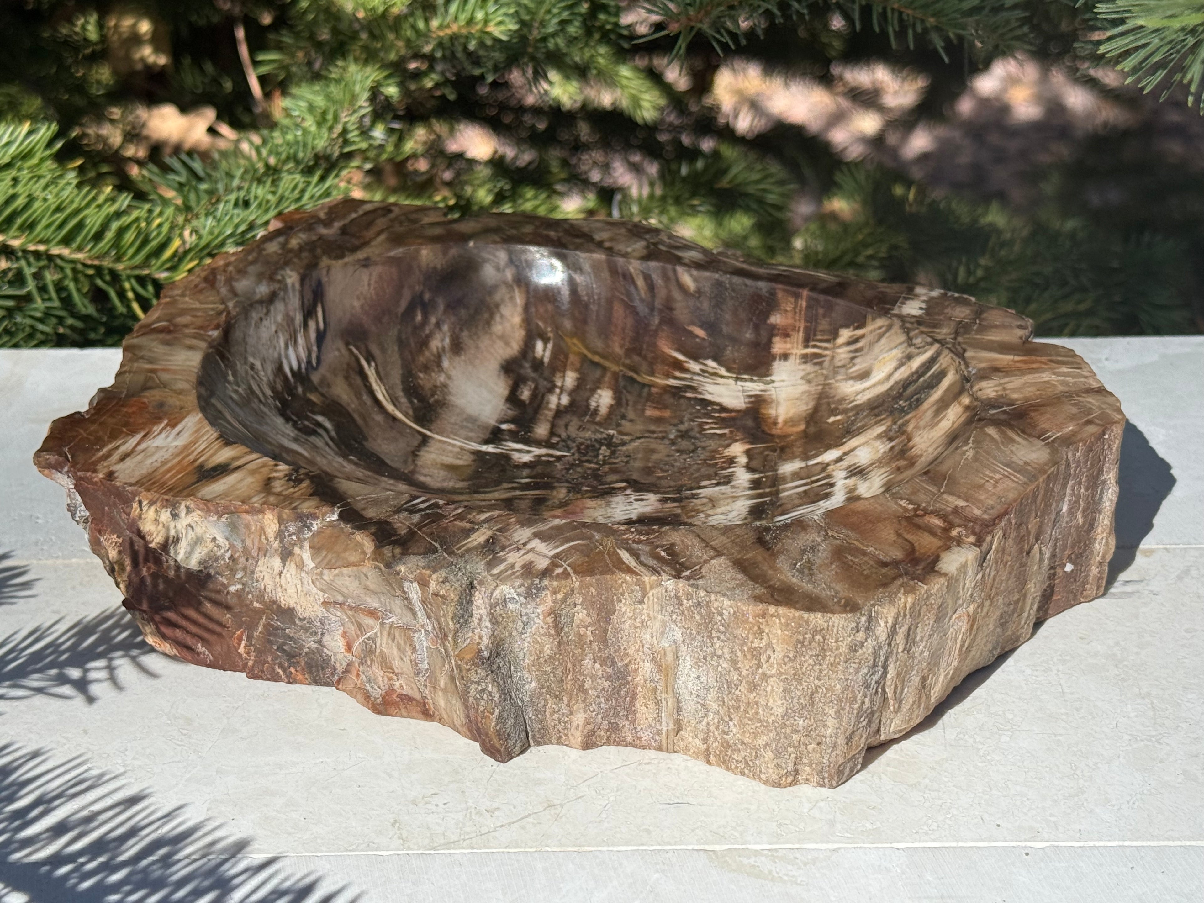 Boldly Striated Petrified Wood Bowl