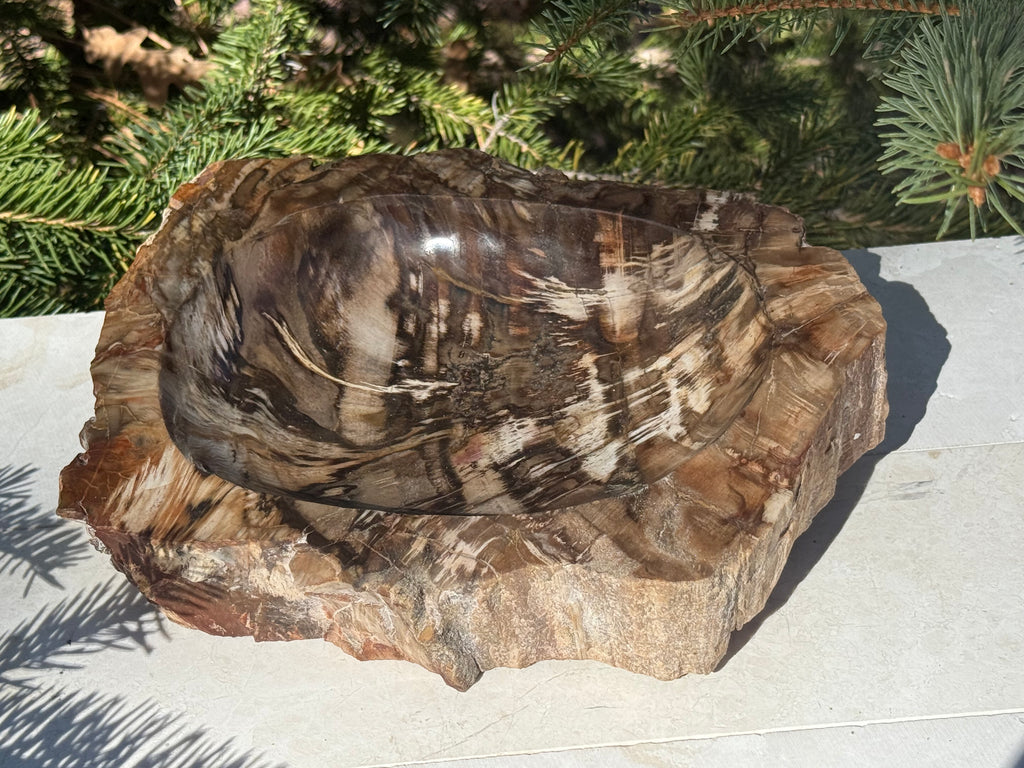Boldly Striated Petrified Wood Bowl